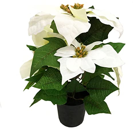 GreenBrokers Poinsettia Artificielle Blanche en Pot 36 cm