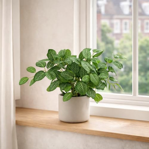 Botanik Pothos Artificiel panaché 40 cm