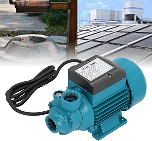 Bomba de transferencia de agua portátil Hrvita para agua limpia, bomba de autocuración DC 12V para transferencia de riego, chorro de pozos poco profundos, suministro de agua solar