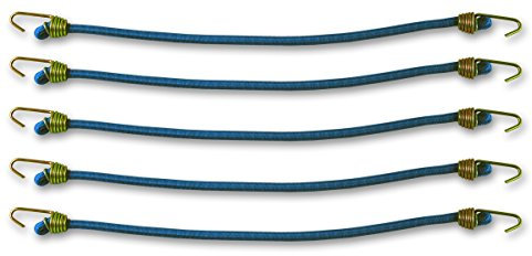 Chapuis, Lot de 5 sandows avec Crochet en Acier zingué, Résistance à la Rupture Indicative 10 kg, Diam. 4 mm, Longueur 25 cm, Bleu,