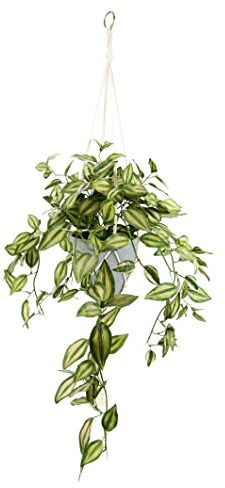 Flair Flower Macetero Artificial con Maceta y Colgador de Plantas Artificiales, Planta Artificial, Planta de Interior, Planta trepadora, Hiedra