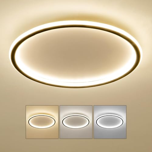 Mikeru 40CM LED Deckenleuchte Rund, LED Ring Deckenleuchten 10% bis 100% Dimmbare Decken Lampe 3000K/4500K/6500K Einstellbare Badezimmer Decke Licht für Wohnzimmer, Flur, Treppenhaus, Küche