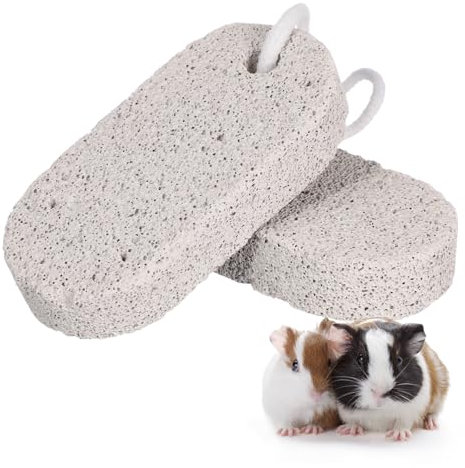 GANAZONO 2 STK Zahngitterstein Bimsstein Frettchen Hamster-leckereien Rattenhausratten Zähneknirschblock Für Haustiere Lavasims Für Ratten Hamsterschalen Rattenfutter Rattenspielzeug Welpe