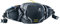 deuter Pulse 3 Hüfttasche (5 L)