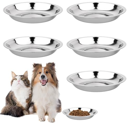 Lot de 5 gamelles de Nourriture pour Chat, 15 cm, gamelles pour Chien de Petite Taille en Acier Inoxydable, pour Chat Peu Profonde, Moustache, Fatigue