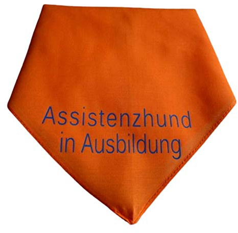 Hundehalstuch Assistenzhund in Ausbildung
