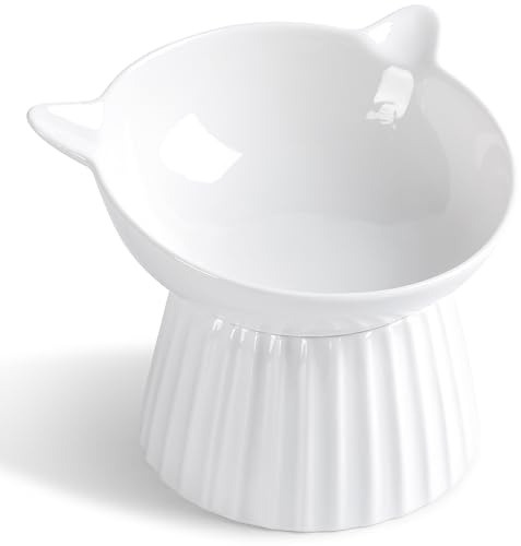 Raised Tilted Cat Bowl, Ceramic Elevated Anti-Vomiting & Whisker Friendly Kitten Food Bowl (White)