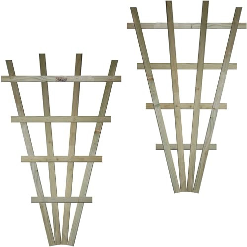 Small Fan Shaped Pack of 2 2x3ft (W: 2ft x H: 3ft) Frameless Decorative Lattice Trellis Panel Plant Grown Wall/Fence Art with Large Standard Squares Width 610mm x Height: 990mm