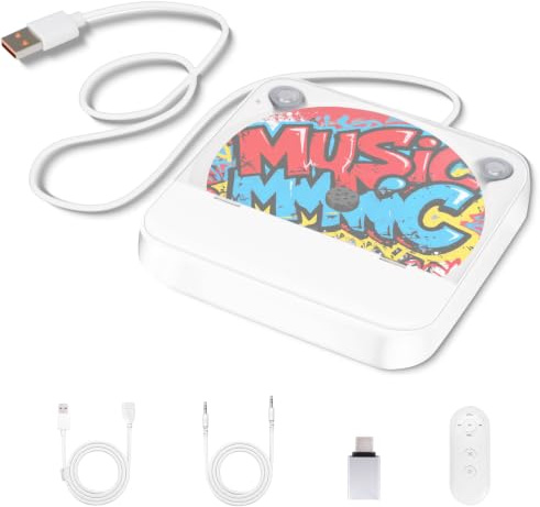 Lecteur CD Externe pour Voiture avec Connexion USB/AUX, Plug & Play