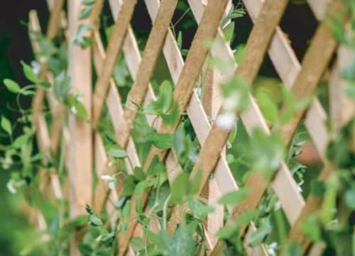Expanding Wooden Trellis Garden Trellis for Climbing Plants Fence Panel, Ideal for Fence Trellis, Wall or Shed for Patio Garden, 180x90 cm, Natural