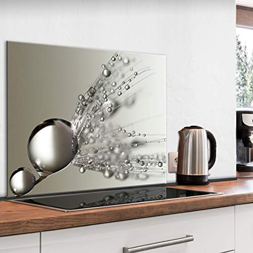 murando Glass Splashback for Kitchen Backsplash Cooker Protector | Tempered Glass Decorative Wall Art Panel Heat Resistant Graphic 80x80 cm / 32x32 Flowers Dandelion