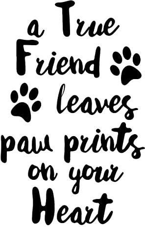 A True Friend Leaves Paw Prints On Your Heart Quote Wine Bottle Vinyl Decal Sticker for Car/Window/Wall (Black Matt)