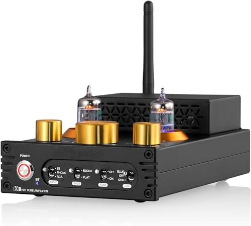 MAHWER Skivspelare effektförstärkare, vakuum rörförstärkare Bluetooth 5.0 mottagare MM Phono-förstärkare, kan matcha med IPod, telefon, MP3-spelare TV, Blu-ray-spelare, CD-spelare, etc