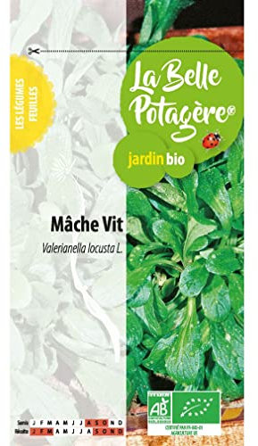 Ecodis - Mâche vit 1 g