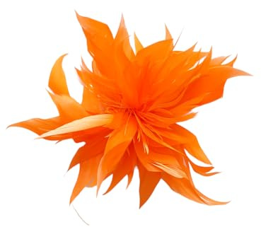 Brosche Anstecknadel Blume Feder Kleidung Geburtstag Geschenk