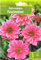 AGRONOM |DAHLIAS - FASCINATION - Bulbes de Fleurs | Plantes Vivaces de Jardin | Bulbes de Fleurs à Planter | Décoration de la Maison | Couleur Rose | 1 Pièces à Bulbes