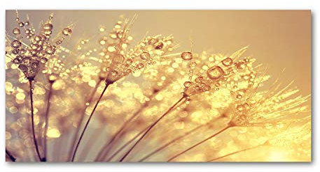 Tulup Leinwandbild - Wandkunst - Drucke auf Leinwand - Leinwanddruck -100x50 cm - Blumen & Pflanzen - Beige - Pusteblume