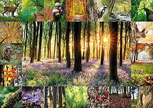 Starnberger Spiele - Waldbaden Puzzle - 1000 Teile | Für Kinder und Erwachsene - Geschenk für Natur- und Waldliebhaber