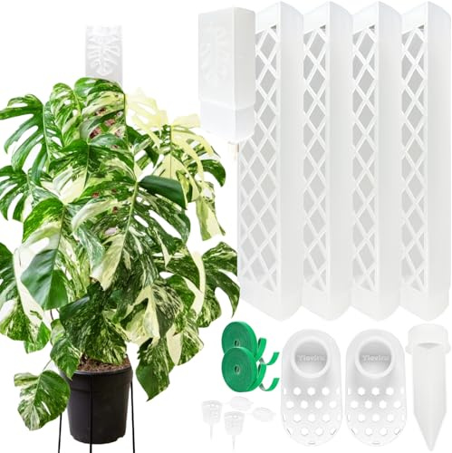 4 Psc 9 '' D forma di muschio palo con gocciolatore d'acqua, facile da montare Monstera supporto per piante, anti-ribaltamento robusti pali per piante rampicanti, palo di muschio in plastica per