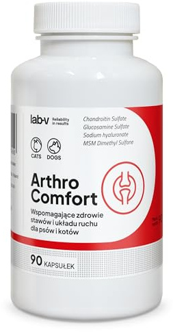 Lab-V Arthro Comfort für Hunde und Katzen – Ergänzungsfuttermittel zur Unterstützung von Gelenken und Beweglichkeit – 90 Kapseln – mit Glucosamin & Chondroitin – ohne Zusatzstoffe