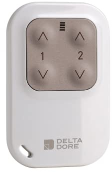 Delta Dore Télécommande porte-clés Tyxia 1400 pour commande de 2 voies d’éclairage ou volets – Ouvrant | Eclairage | Télécommande - 6351388