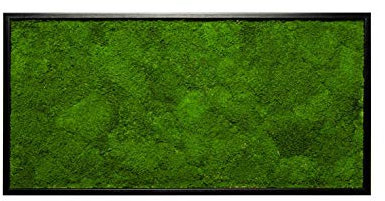 Moosbild mit 100% echtem Flachmoos (60x30 cm) Rahmen in schwarz