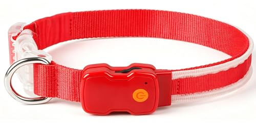 Domigard LED Leuchthalsband Hund, USB wiederaufladbar & wasserdicht | LED Hundehalsband mit 3 Leuchtmodi, verstellbar 38-50cm, für mittlere & große Hunde, Ideal für Nachtspaziergänge - Rot, M