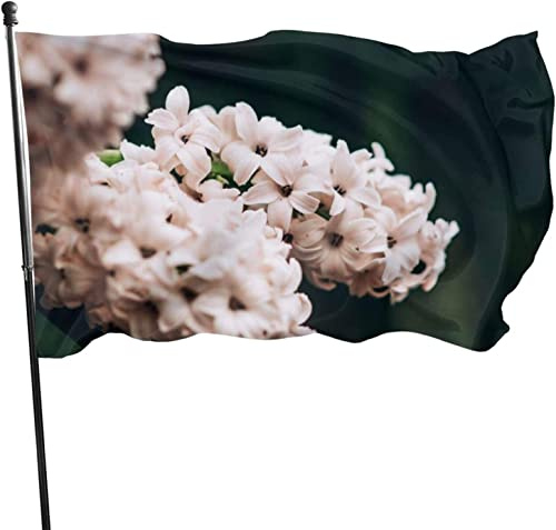 Jacinto flor jardín bandera vacaciones Banner jardín patio casa banderas fiesta al aire libre decoraciones para el hogar 150x90 cm