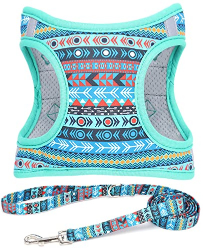 Moonpet Step in Air Hundegeschirr Leine Set – Reflektierendes Blumenmuster gepolsterte Netzweste Geschirr für Katzen, Welpen, extra kleine, kleine, mittelgroße Hunde - Maya-Mysterium - XXS