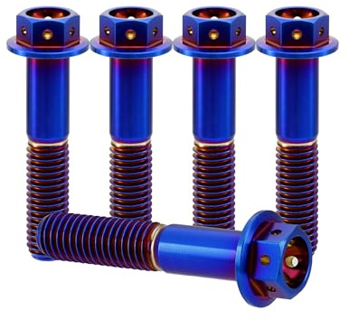 RISON-Titanium 5 Stück Titanschrauben M8x1.25x40mm, Titan Flansch Schrauben Sechskantschraube, Titan Schrauben Gebohrter Bolzen Bremssattelschraube Motorradschrauben Autoschrauben
