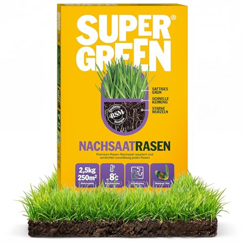 SUPERGREEN Nachsaatrasen Rasensamen | 2,5 kg für 250m² | Premium Nachsaat für dichten, sattgrünen Rasen | Schließt Lücken schnell & regeneriert Flächen | RSM Qualität & Mantelsaat® Vital