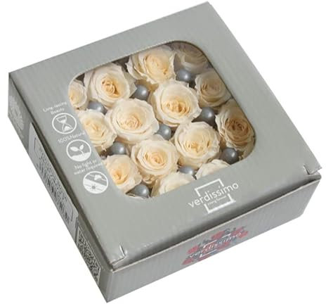 Générique VERDISSIMO Rosa Stabilizzata Mini Principessa da 2 a 2,5 cm di diametro (Champagne)