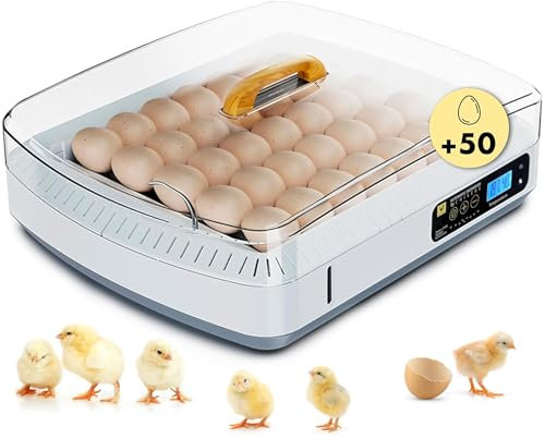 CHIKERS - Incubadora Automática de Huevos Gallina, Aves y Pollos | XL +50 Huevos | Rotación Automática, Control de Temperatura y Medidor de Humedad | Incubadora Premium para Corrales y Uso doméstico