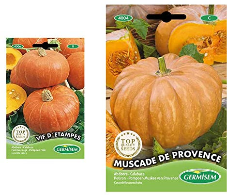 Germisem Vif D 'Etampes Semillas de Calabaza 3 g (EC4006) & Muscade de Provence Semillas de Calabaza 3 g