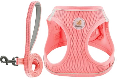 Hipubby Dog Harness and Leash Set, No Pull Soft Mesh Puppy Harness for Small Medium Dogs, Cats - Step in Reflective Breathable Lightweight Vest Harness for Walking, Training - Pink, S