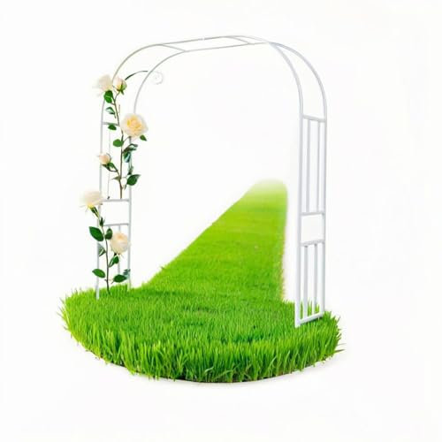 Générique Treillis Arche Jardin en Acier, Arc de Roses Métal pour Plantes Grimpantes, Arche de Mariage Extérieure Durable avec Support Renforcé(White,320x240cm)