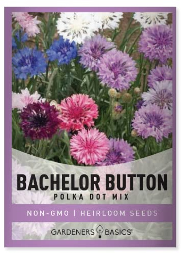 Gardeners Basics Bachelor Button Seeds for Planting Cornflower (Polka Dot Mix) - Pretty Mix of Bachelors Buttons Seeds Open Pollinated, Non-GMO, Great for Cut Flower Gardens