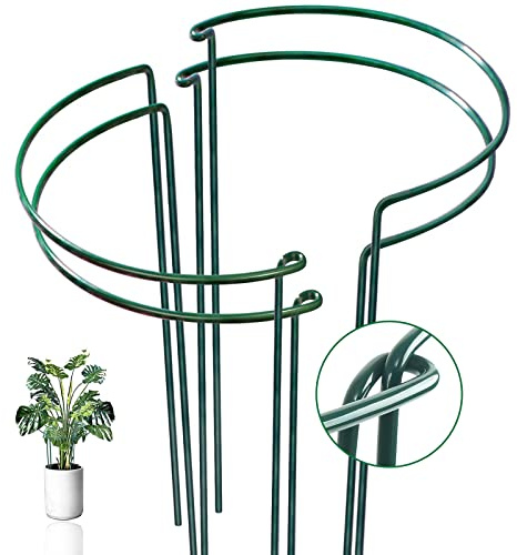 4 Pack Snake Plant Support Stakes, Peony Cages and Supports, Heavy-Duty Hoseplant Support, Hydrangea Support Cage, Aloe Plant Support Ring, Plant Support Stake for Indoor and Outdoor Potted Plants