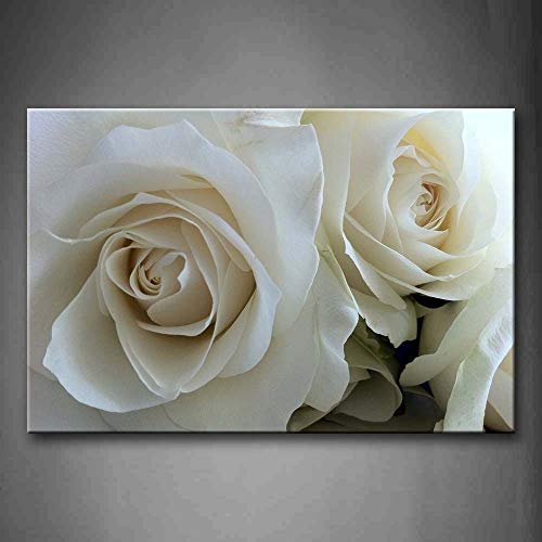 NIMCG Quadro Moderno con Rose Bianche Stampa su Tela Poster Moderni con Fiori per Soggiorno (Senza Cornice) R1 50x70CM