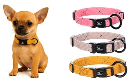 Hundehalsband – Puppy Dolly Ocker XXS 15–25cm – verstellbar – reflektierend – Nylon – für Welpen – Flamingo