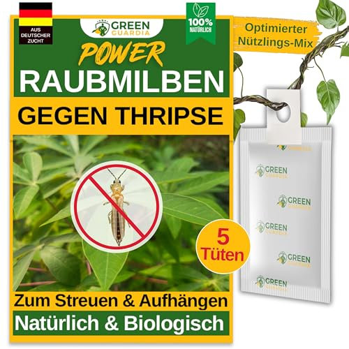 GREEN GUARDIA Power Raubmilben gegen Thripse – 5 Tüten - Biologisches Mittel zur effektiven Thripse Bekämpfung für Zimmer- und Zierpflanzen sowie Cannab. – umweltfreundlich,chemiefreie Mittel