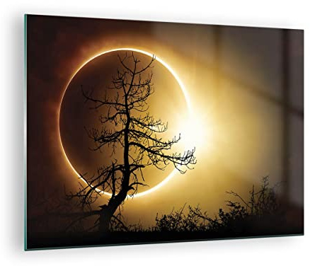 Bilder auf Glas 70x50cm Wandbild Glasdruck Weltraum Landschaften - 4349 | Finsternis Sonne Baum Klein Modern Dekoration Wohnzimmer Schlafzimmer Küche Wanddeko Kunstdruck Art Wall Decor ARTTOR