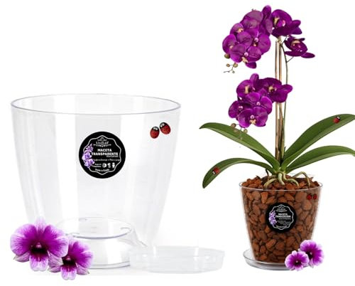 LiveLaif®- Maceta orquidea Transparente Redonda Oval Ø13,5cm + Plato | Maceta Transparente orquidea | Agujeros Drenaje, Efecto Vidrio | Cubremaceta | Hecha en España, Tamaño a Elegir (1, Ø13cm)