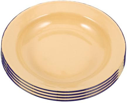 Assiettes en Émail 5 Pièces, Plats à Bord Plat pour Fruits et Desserts | Nettoyage Facile, Usage Décoratif et Pratique, Lot Adapté aux Repas de Famille Nouvel An