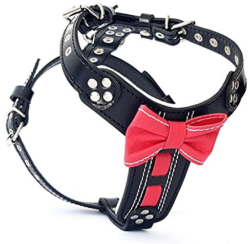 Bestia |Bowtie| Leder Brustgeschirr für Französische Bulldoggen. | Größe S- Mops / Frenchie Größe, für große und mittelgroße Hunde