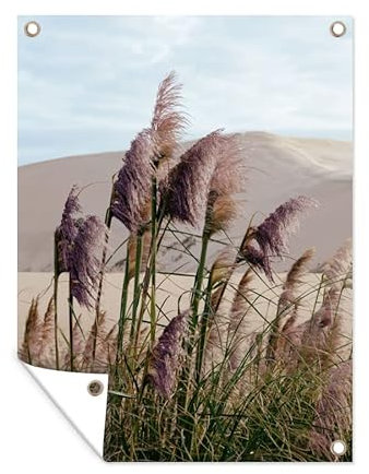 MuchoWow Poster exterieur Herbe de la pampa - Sable - Plantes - Dune Decoration murale 90x120 cm Résistant aux intempéries/soleil