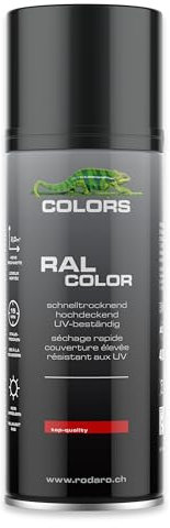 COLORS Sprühlack - 400ml Spraydose - Sprühfarbe für alle Oberflächen, Innen und Aussenbereich, Tolle Deckkraft | RAL9005 - Tiefschwarz Glanz