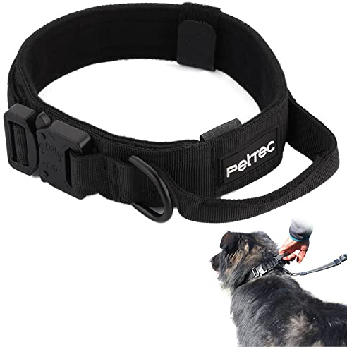 PetTec Justerbart Hundhalsband för Små Hundar - D200 Nylon & Neoprenfodring - Valphalsband med slitstarkt handtag, D-ring & snabbspänne i metall - Smutsbeständigt och vattentätt - 34-44cm