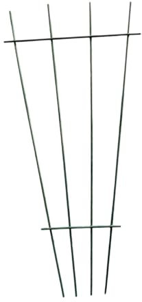 Enrejado de plantas en forma de abanico para plantas trepadoras, interiores y exteriores, soporte de flores para verduras, rosas, pepinos, vides