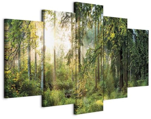 B&D XXL - Akustikbild Akustikbild Landschaft, Schallschutz, Wohnzimmer | Verbessert Raumakustik, reduziert Hall, ideal fürs Büro oder Wohnzimmer, hochwertige Verarbeitung, schnelle Montage, stilvoll